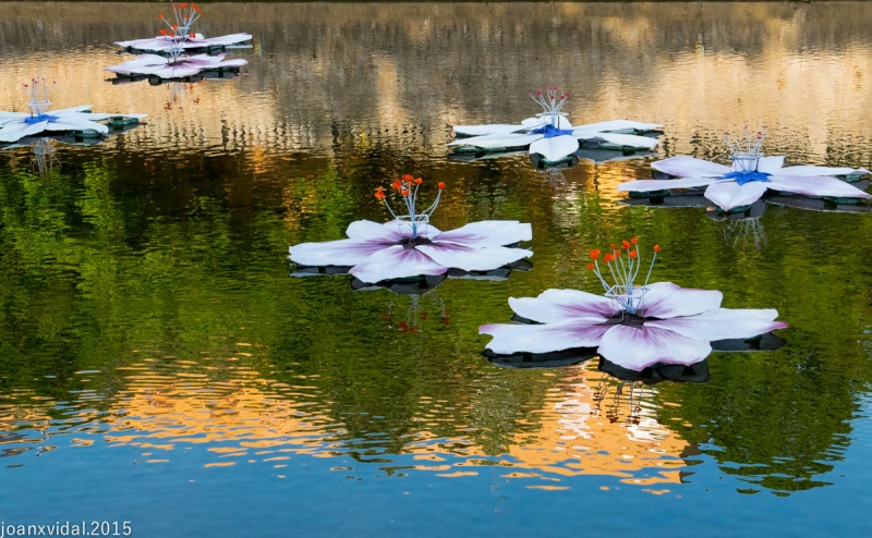 Temps de flors