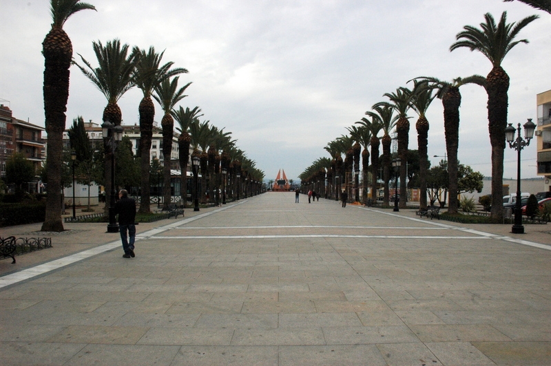 Paseo de las Palmeras