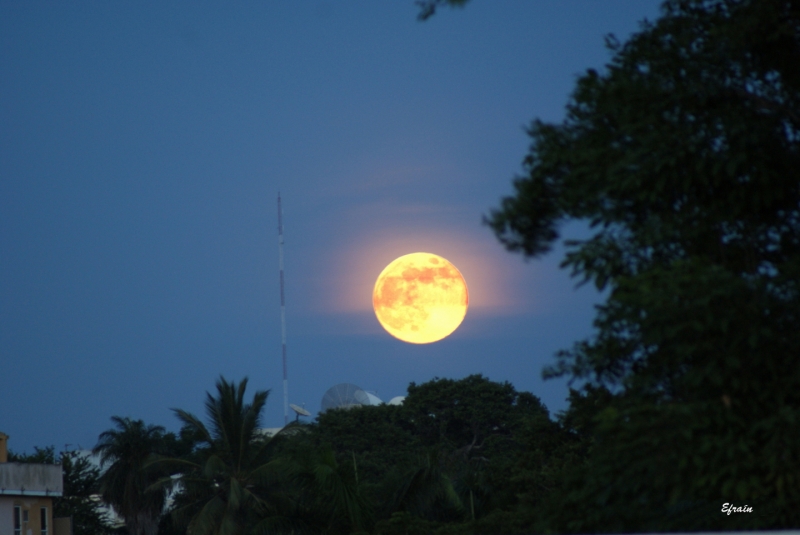 Luna de Agosto