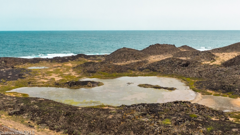 ISLA DE LOBOS