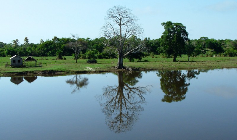 Reflejos