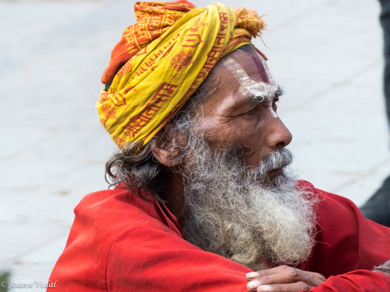 Namaste sadu