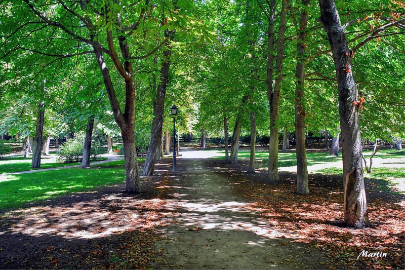 Paseando por El Retiro