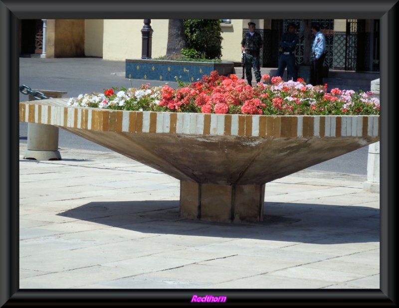 Macizo de flores de buenas dimensiones