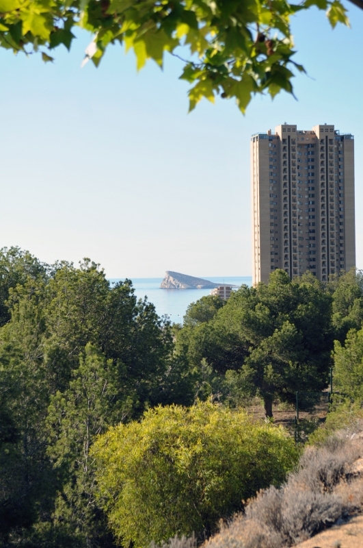 Verde paisaje