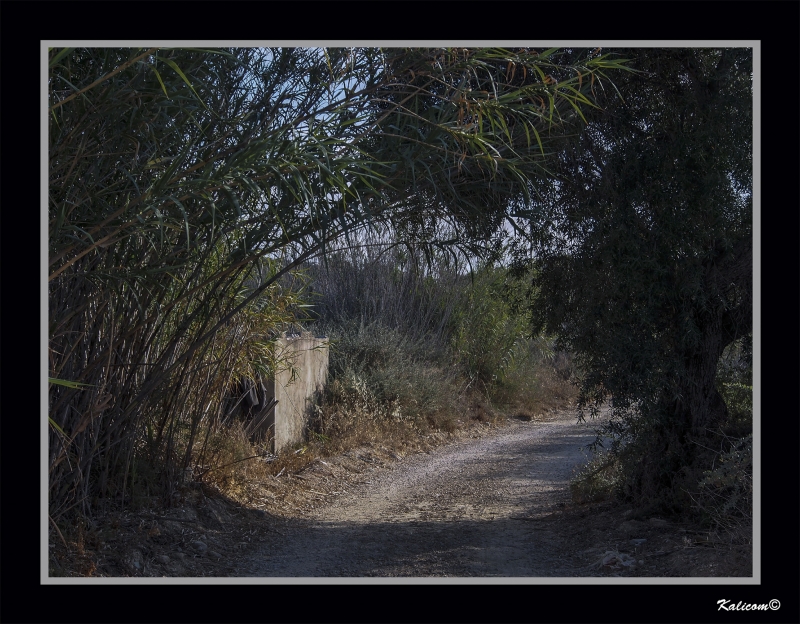 CAMINO DEL SECARRAL