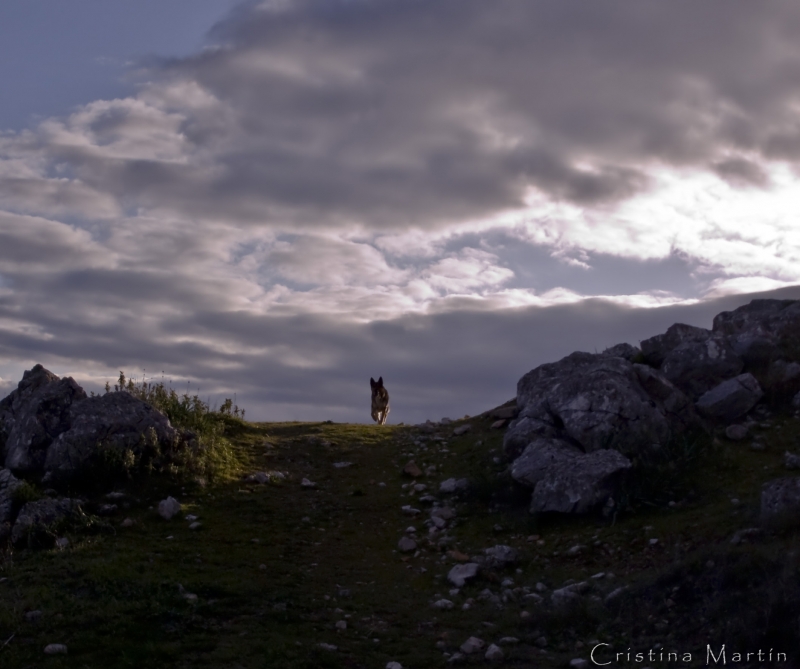 surcando el horizonte