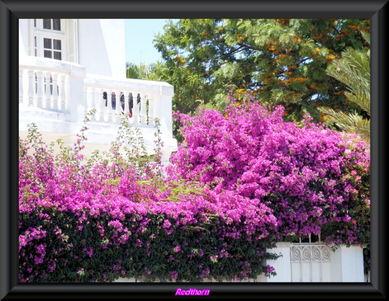 Jardines de Rabat