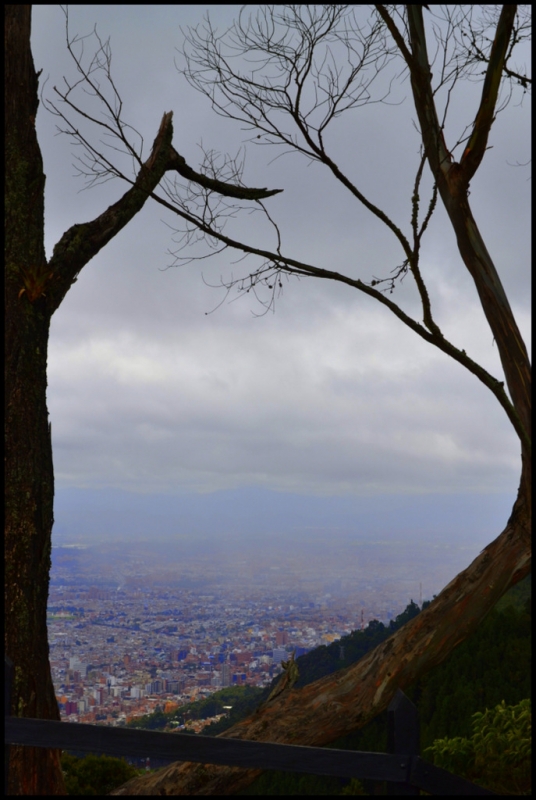 BOGOTA