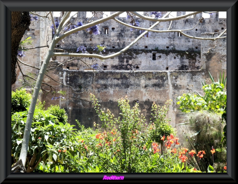 Entre el jardn y la muralla