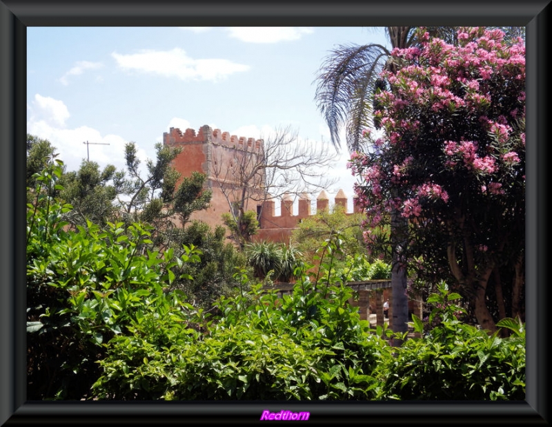 Torren de la muralla desde el jardin