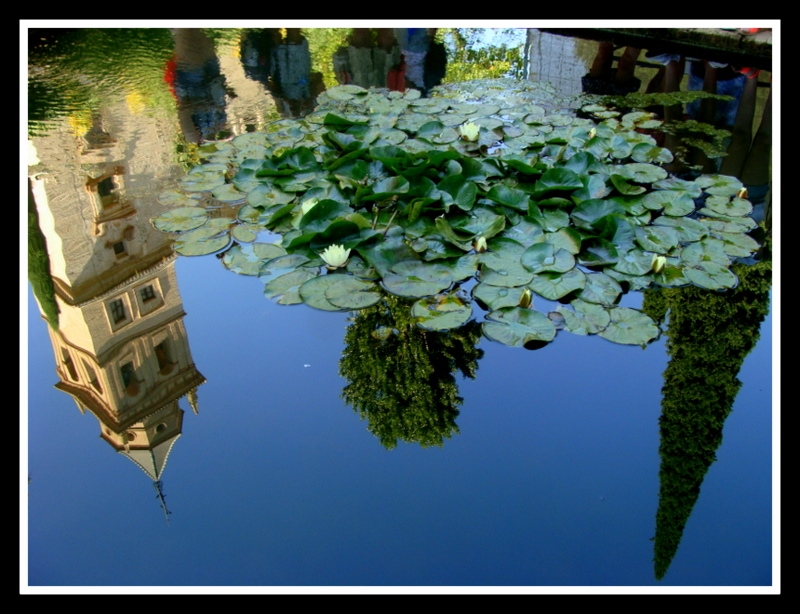 reflejos