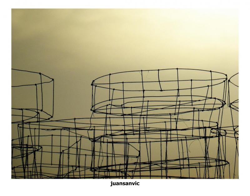 Estructuras