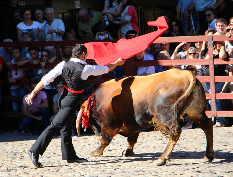 torero