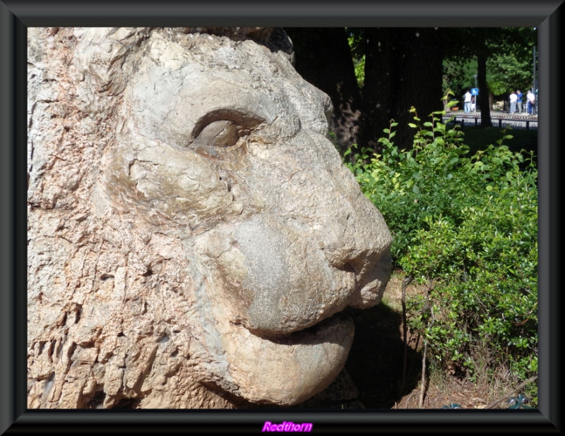 Escultura del len del Atlas