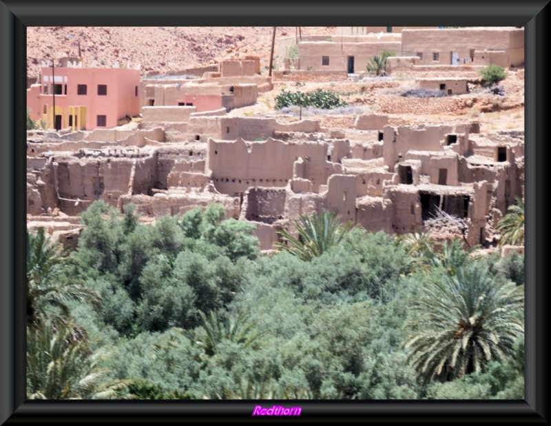 Casas en ruinas al borde de un oasis