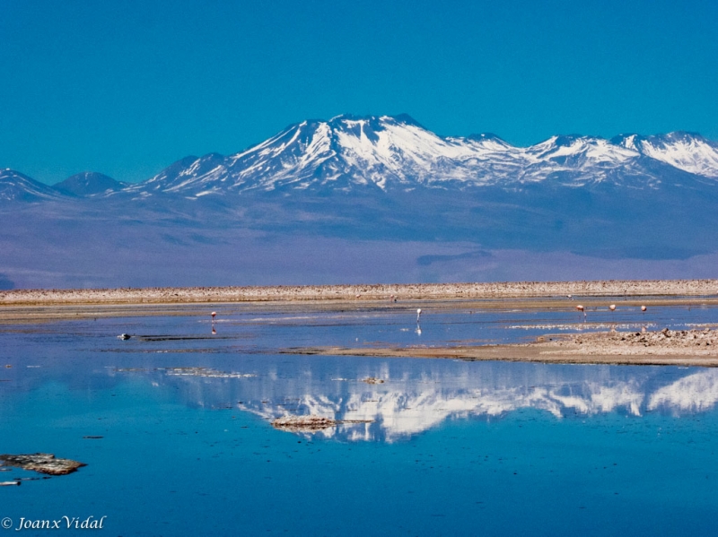 Salar de Atacama