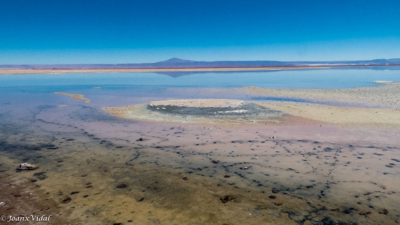 Saar de Atacama