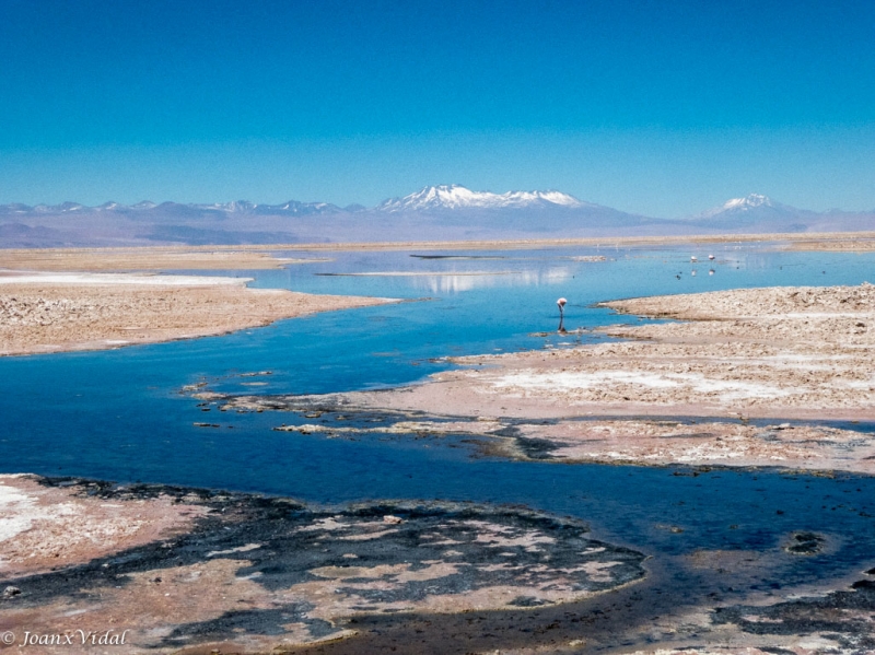 Salar de Atacama