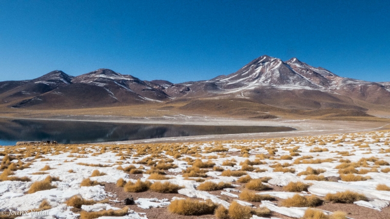 Laguna Miiques