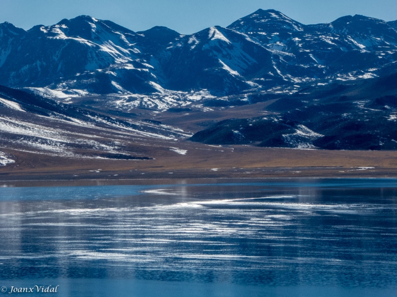 Laguna Miscanti