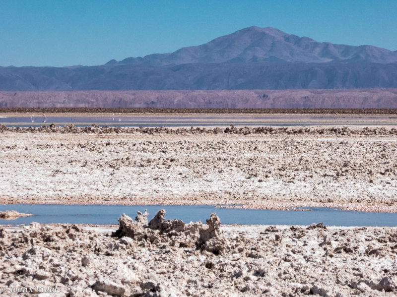 Salar de Atacama