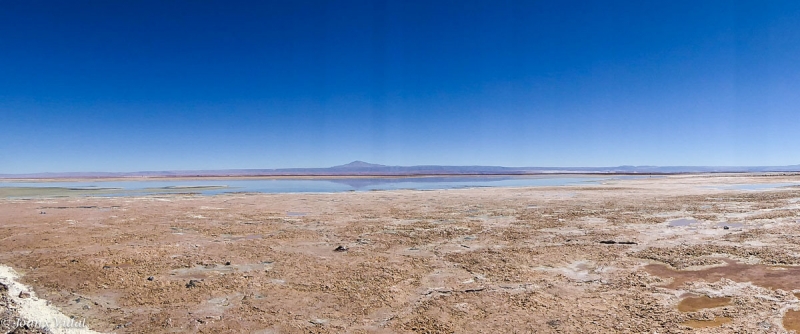 salar de Atacama