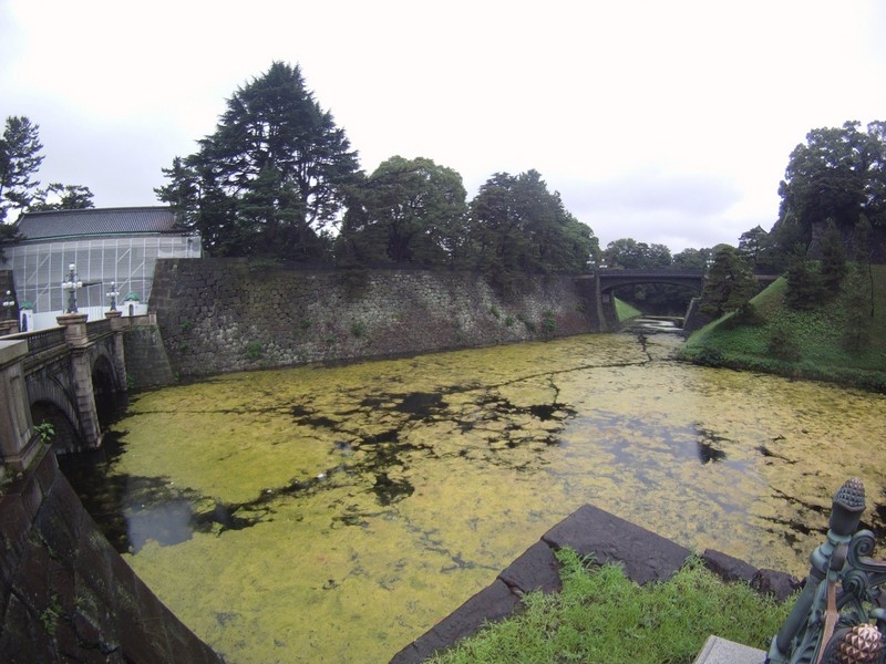 Jardines del palacio