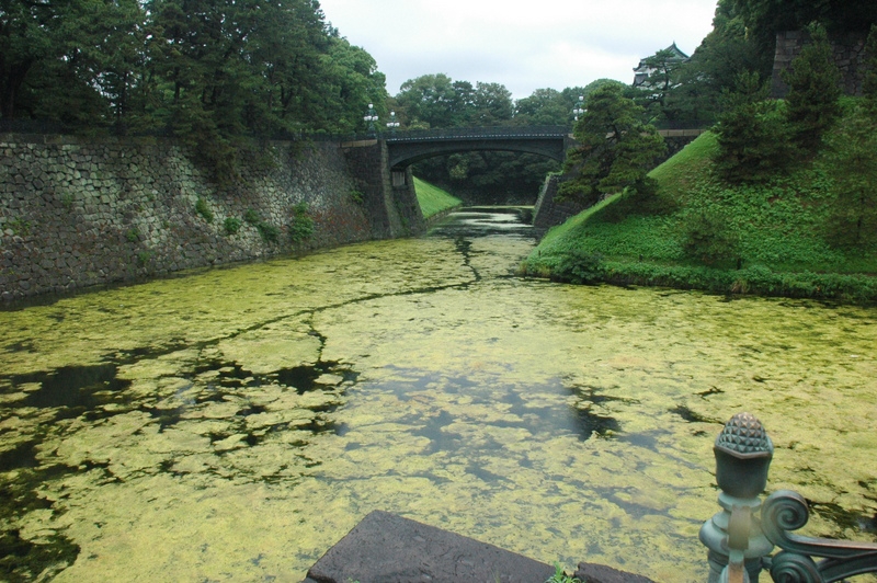 Puente de Nijubashi 