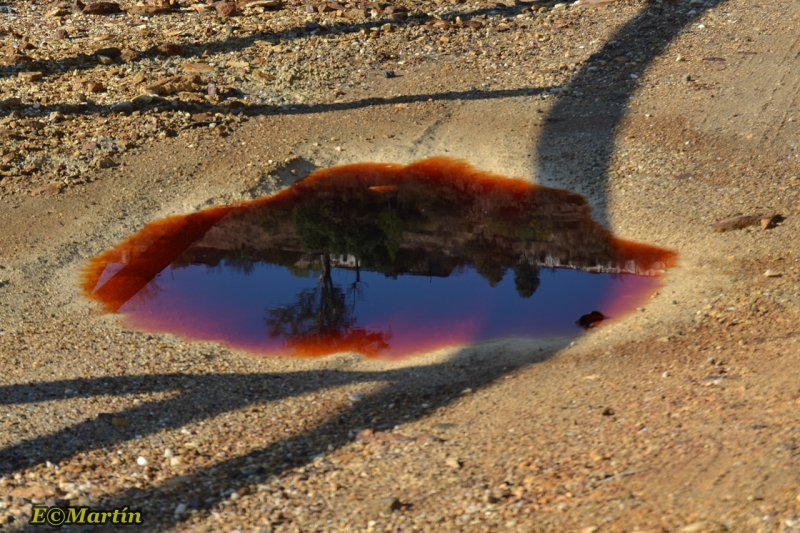 charco tinto