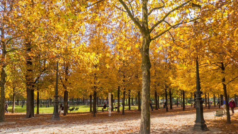 otoo en les Tuileries