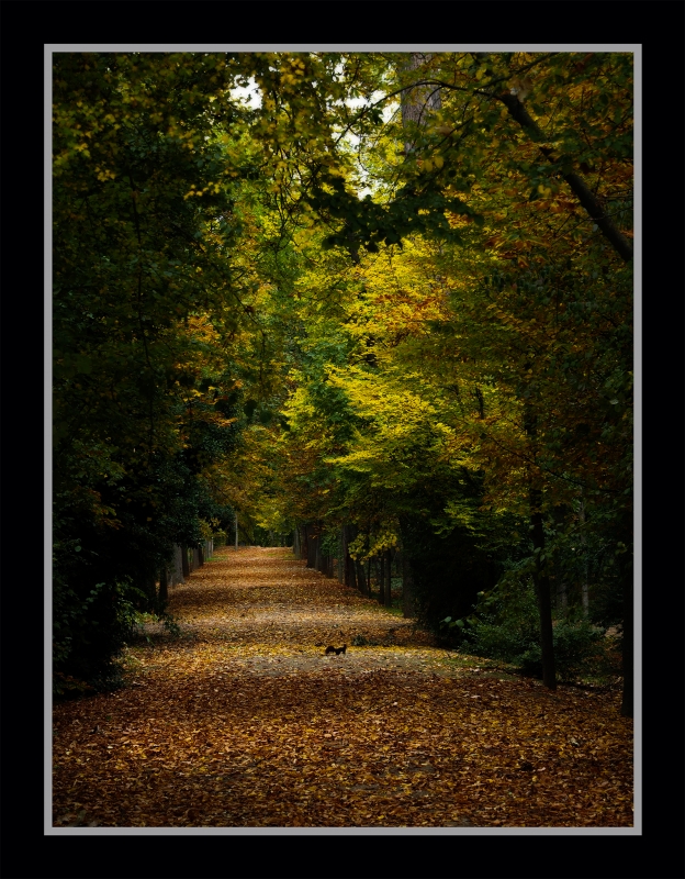 EL PASEO DE LA ARDILLA.