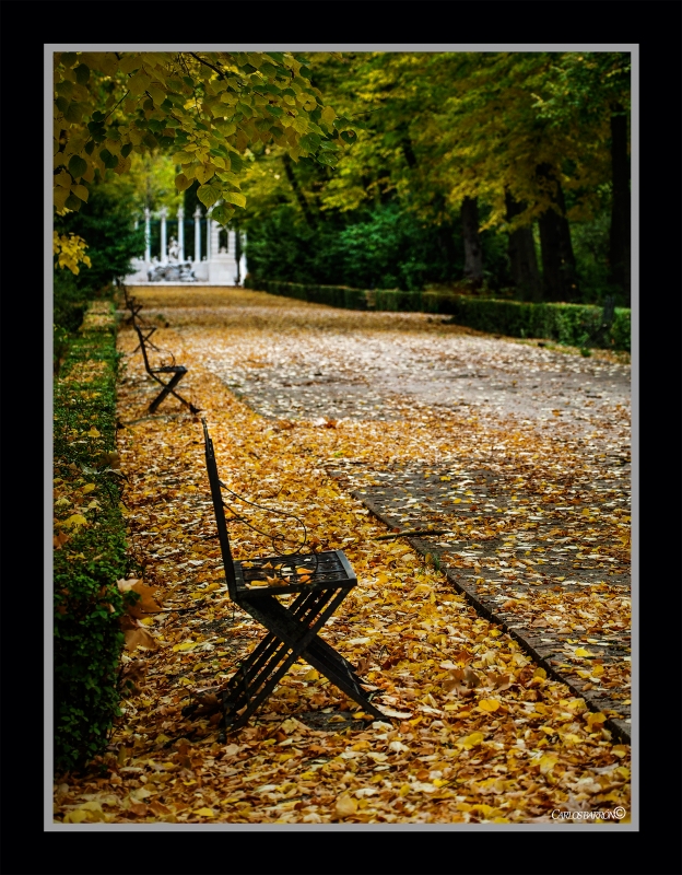 ARANJUEZ SE VISTE DE AMARILLO