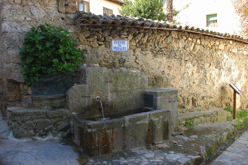 Fuente de Perales