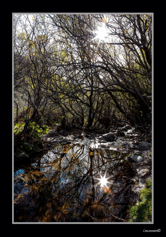 REFLEJOS SOLARES