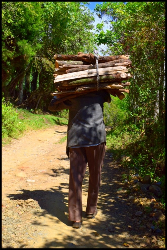 TRABAJADOR