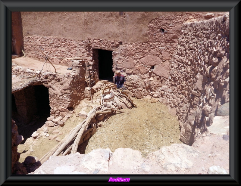 Trabajando entre las ruinas