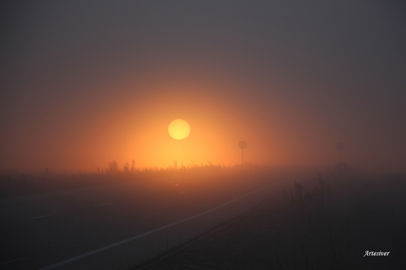 sol y niebla