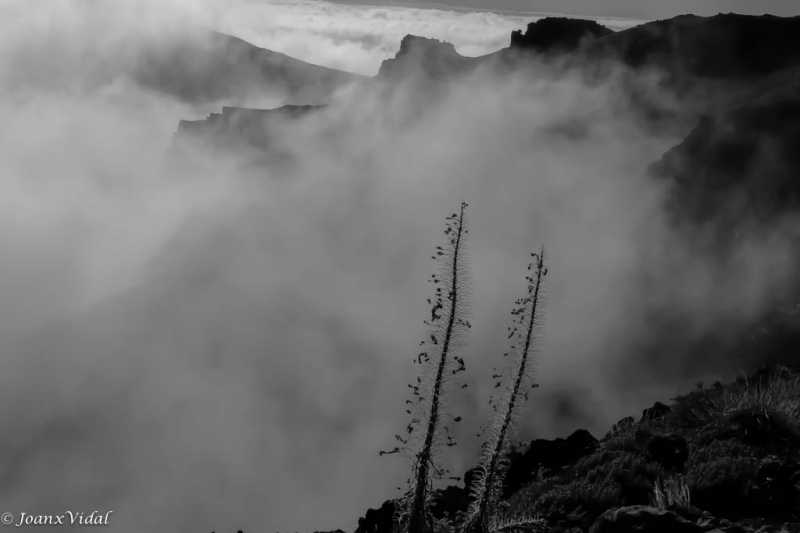 Caldera de Taburiente