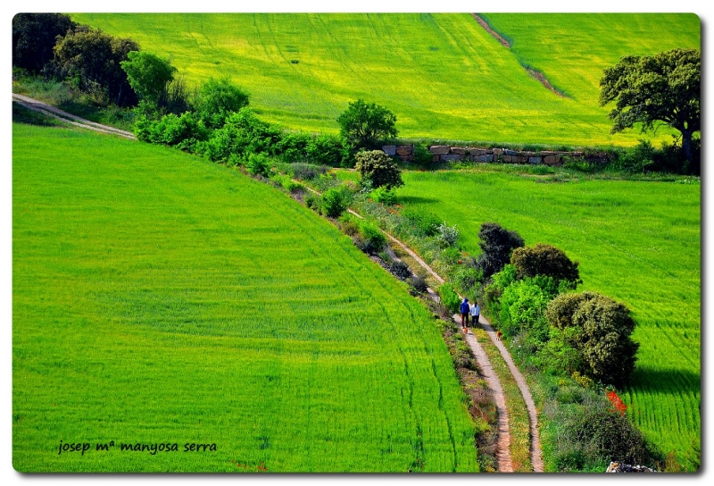 Fent cam per la segarra