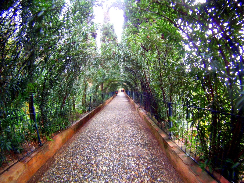 Jardines de la Alhambra 2