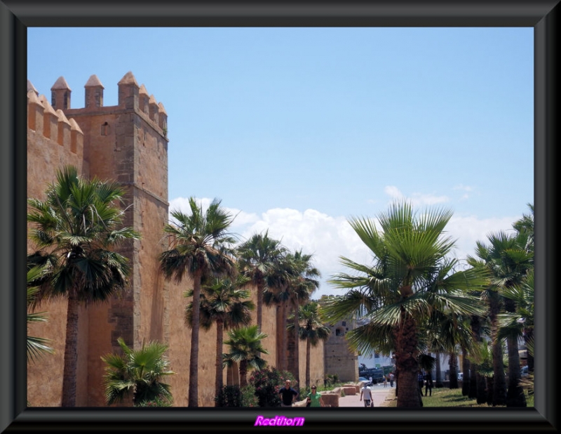 Las murallas de Marrakech bordeadas de flores