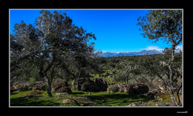 LA SIERRA DE EL GUILA