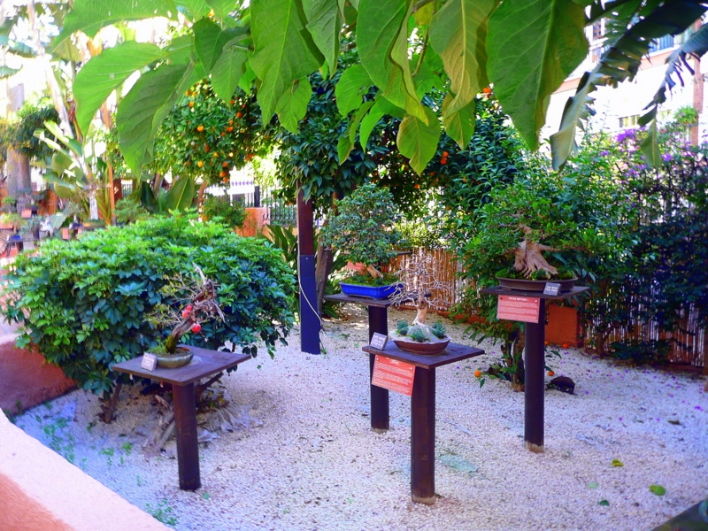 Panormica del Jardin