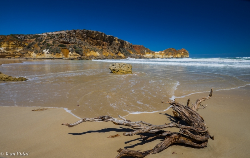 GREAT OCEAN