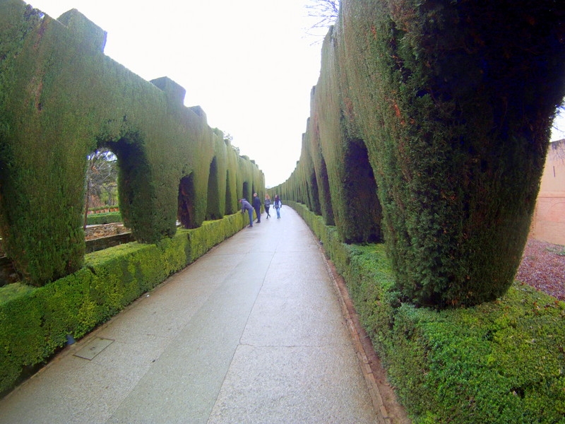 Jardines de la Alhambra