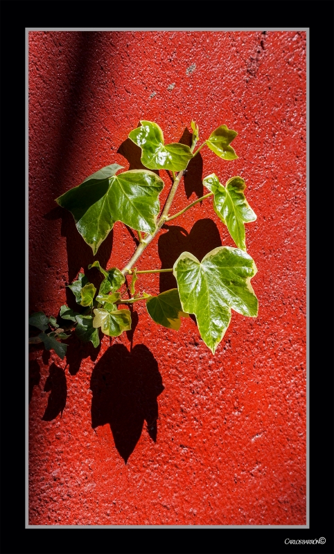 LA PARED ROJA