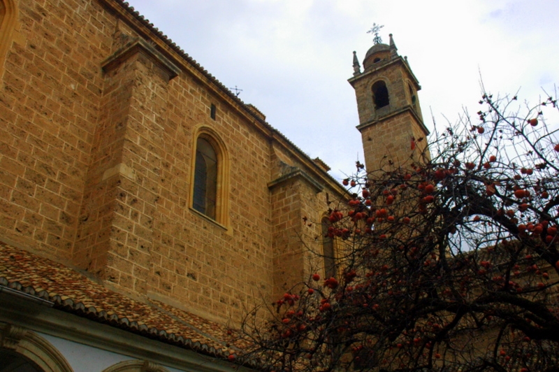 Cartuja. Campanario