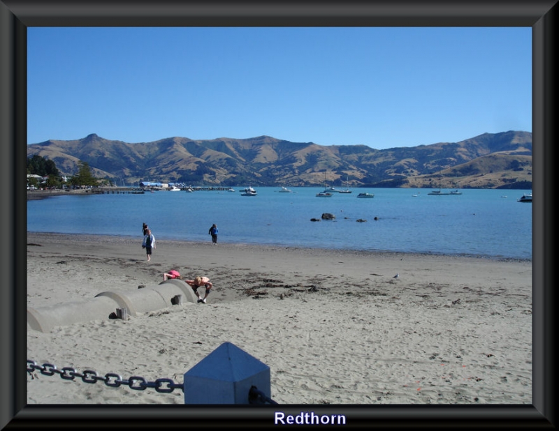 Curioseando en la baha de Akaroa