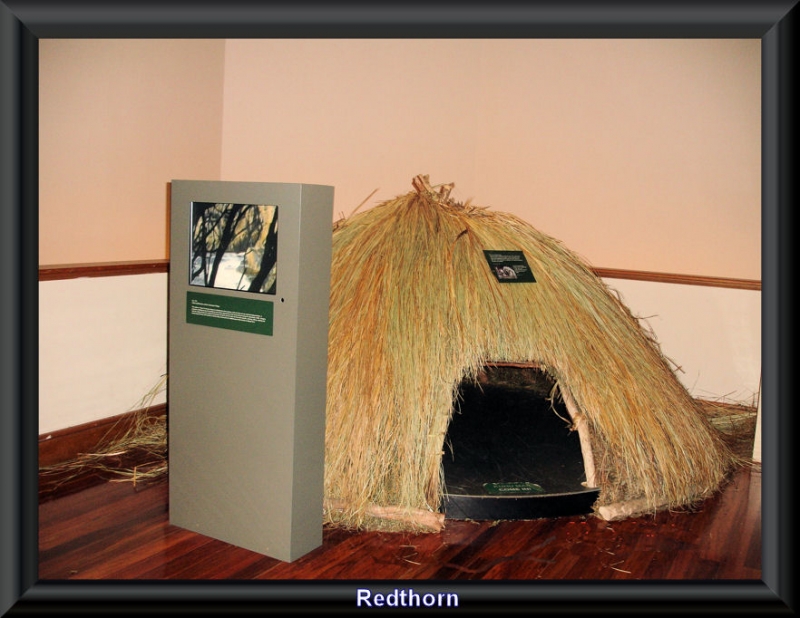 Museo.Choza maor